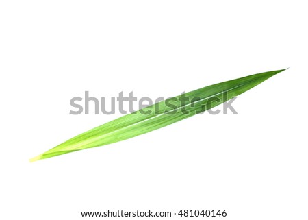 Similar – Image, Stock Photo Stalks and grasses in the wind in autumn at the wheel of a field behind the dike in Bensersiel at the coast of the North Sea near Esens in East Frisia in Lower Saxony