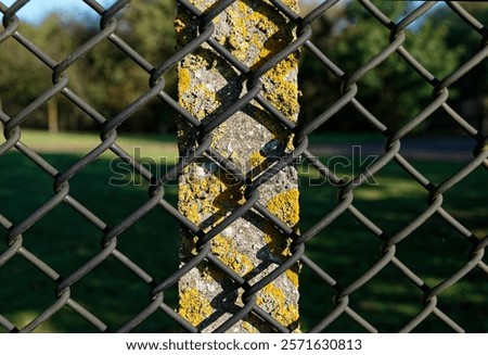 Similar – Image, Stock Photo Barrier chain in front of a house wall | Why?