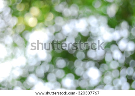 abstract photo of light burst among trees and glitter bokeh lights. filtered image and texture