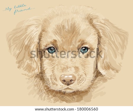 cute puppy with blue eyes