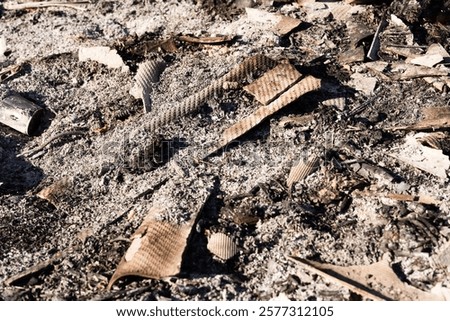 Similar – Image, Stock Photo Burned down remains of the New Year’s Eve fireworks on New Year’s morning