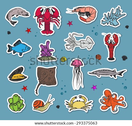 Vector colorful sea world icons. Mediterranean design. Underwater wildlife shapes. Ocean animals - fish octopus shrimp crab lobster mussel pike jellyfish snail skate sturgeon stingray squid coral
