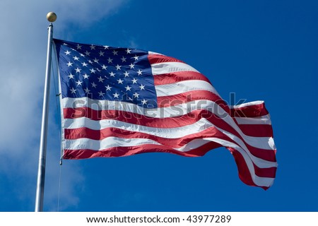 United States of America Flag Blowing in the Wind