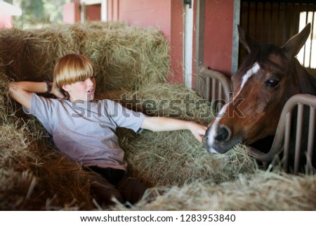 Similar – Foto Bild Drei Pferdeköpfe die aus dem Blickwinkel des Reiters fotografiert wurden