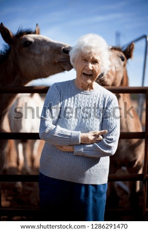 Similar – Foto Bild Drei Pferdeköpfe die aus dem Blickwinkel des Reiters fotografiert wurden