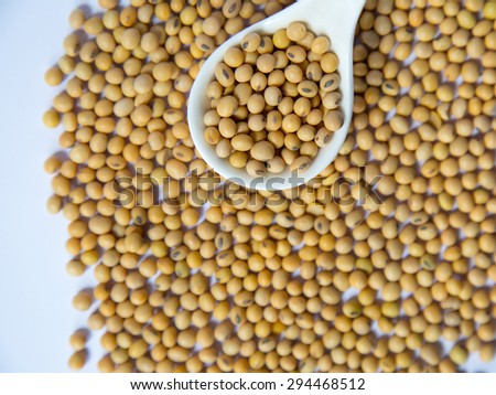 Soy bean with white background