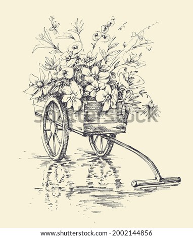 Garden wheelbarrow with flowers. Graphic gardening flower cart isolated