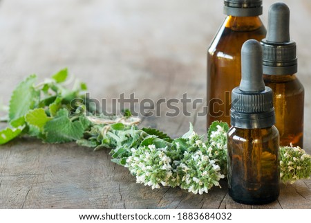 Similar – Image, Stock Photo Allotment garden with cats