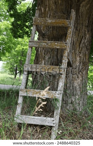 Similar – Image, Stock Photo A ladder leaning against a tree for pruning, under a blue sky with clouds of sheep