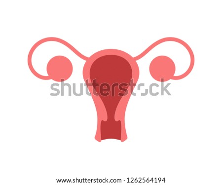 Colorful uterus icon on white background. Metra vector illustration