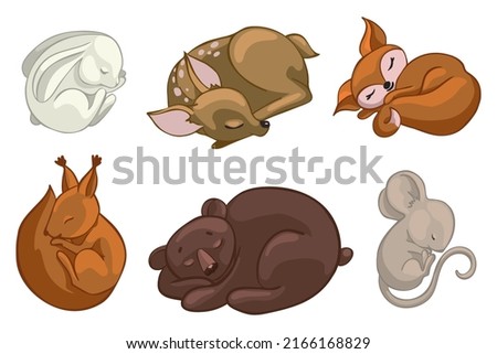 Set of sleeping forest animals.Cartoon vector graphics.