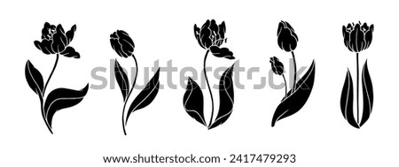 Set of silhouettes of spring flowers and tulip buds. Vector graphics.