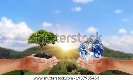 Exchange of planets in the hands of humans with young plants in the hands of humans, the concept of Earth Day and Conservation of the Environment. Elements of this image are decorated by NASA.