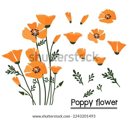 Similar – Image, Stock Photo Glowing poppies in the evening light.
