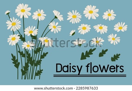 Similar – Foto Bild Weiße Gänseblümchenblume, Blumenkunstdesign, gelber Naturhintergrund.