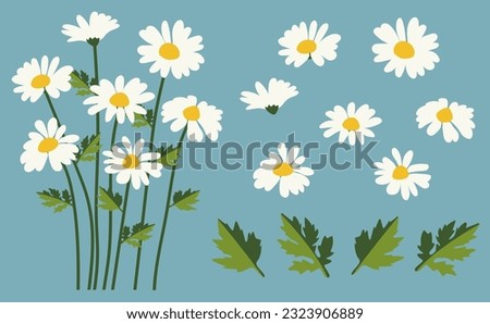 Similar – Image, Stock Photo daisies Marguerite