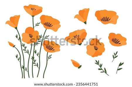 Similar – Image, Stock Photo Poppy field Poppy blossom