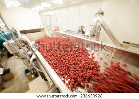 frozen red raspberries in sorting and processing machines, blurred