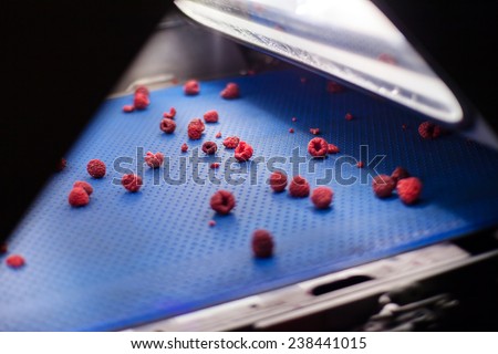 frozen red raspberries in laser sorting and processing machines
