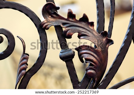 details of structure and ornaments of wrought iron fence and gate