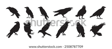 Crow isolated black silhouette set. Crows, raven halloween Dark birds icon clipart. Vector illustration