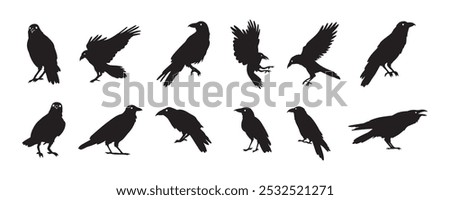 Crow isolated black silhouette set. Crows, raven halloween Dark birds icon clipart. Vector illustration