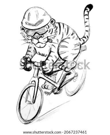 Tiger on a road bicycle