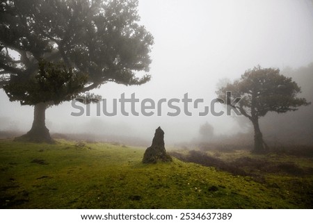 Image, Stock Photo Foggy day on the dike in Friesland