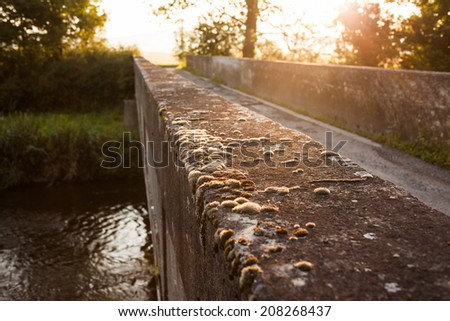 Grunge concrete bridge with moss at sunrise in South Bohemia