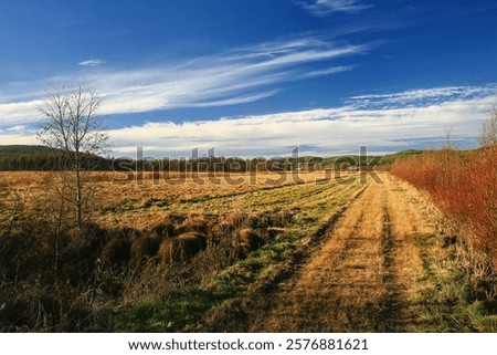 Similar – Image, Stock Photo Autumn field under cumulus clouds in sunlight