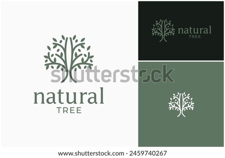 Natural Tree Plant Nature Spring Foliage Simple Line Art Vector Logo Design Illustration