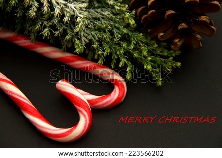 ,,Merry Christmas,, record on the right , green tree,two rocks, pinecone in the black background view from one side