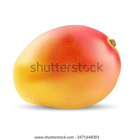 Vector illustration of 3d realistic fruit mango isolated on white background with shadow.