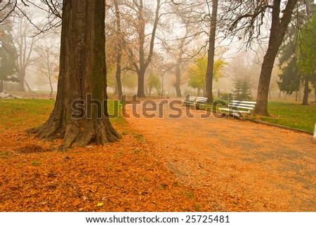 Autumn scene in the park