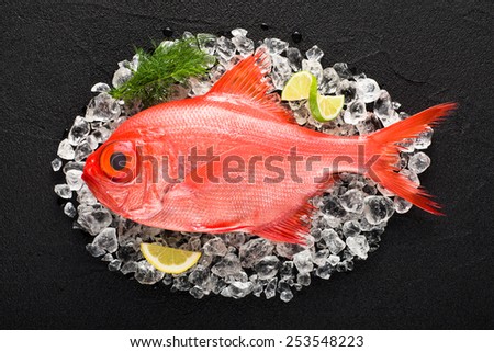 Similar – Image, Stock Photo Big fish with red tail in plate