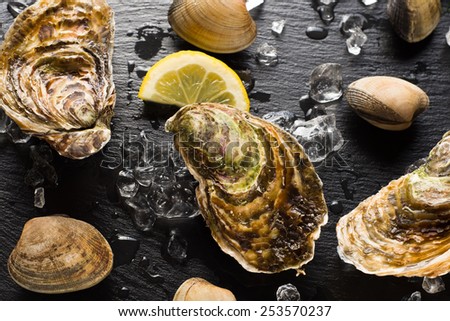 Fresh oysters and clams on a black stone plate top view
