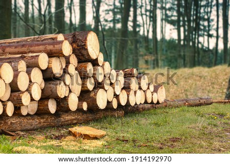 Similar – Image, Stock Photo timber harvest