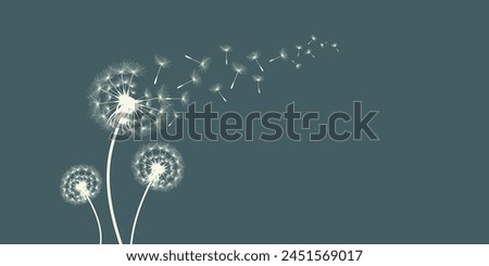 Vector illustration of dandelion time. Beautiful realistic Dandelion seeds blowing in the wind. The wind inflates a dandelion isolated in an editable evening background.