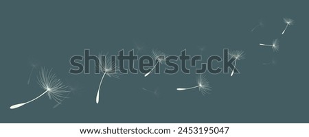 Similar – Image, Stock Photo beautiful dandelion seed in the nature in autumn season