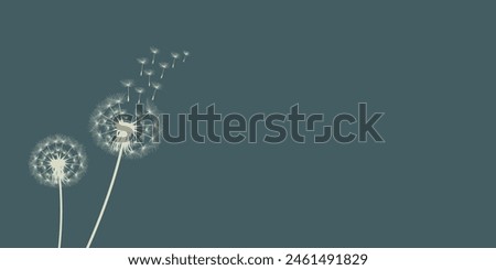 Similar – Image, Stock Photo beautiful dandelion seed in the nature in autumn season