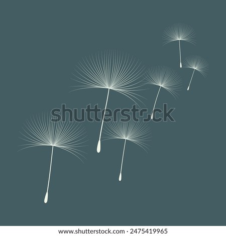 Similar – Foto Bild Pusteblume im Abendlicht