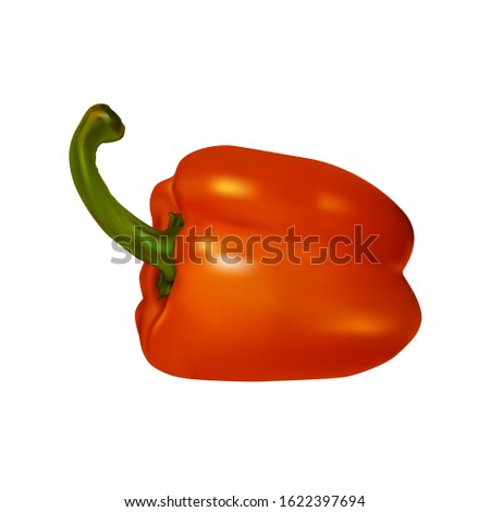 Red juicy paprika, bell pepper isolated on a white background. Photo-realistic vector eps10. For printing, website design, packaging.