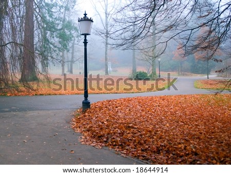 lanterns in an autumn park under the rain