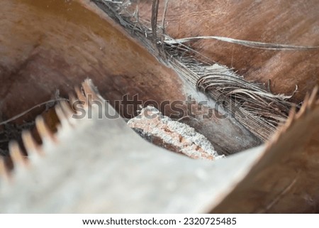 Similar – Image, Stock Photo Got the spike Environment