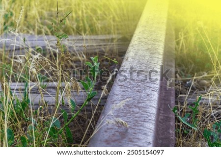 Similar – Image, Stock Photo Sunset turning rail track into golden path