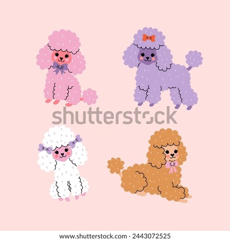 Set of cute colorful poodle dogs. Vector graphics.