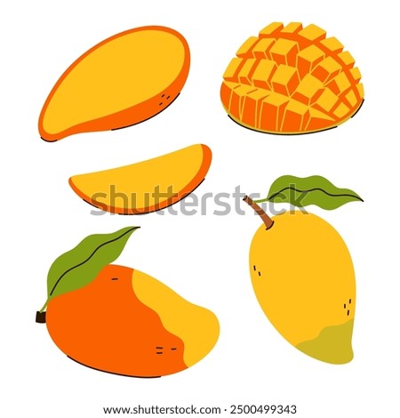 Set of mango and mango slice isolate on white background. Vector graphics.