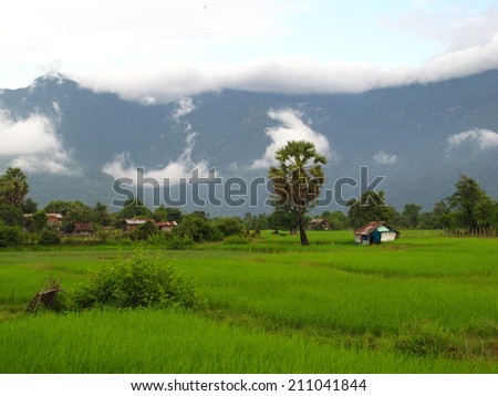 Rice field, hut, palm tree and mountain in Champasak, Laos