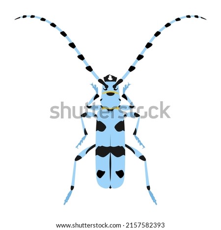 Alpine barbel beetle, Rosalia alpina. Vector illustration of beetle with long whiskers isolated on white background.