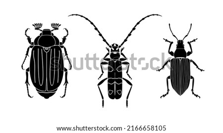 Beetles. Vector set of black silhouettes: cockchafer, alpine barbel, weevil. Isolated on white background.